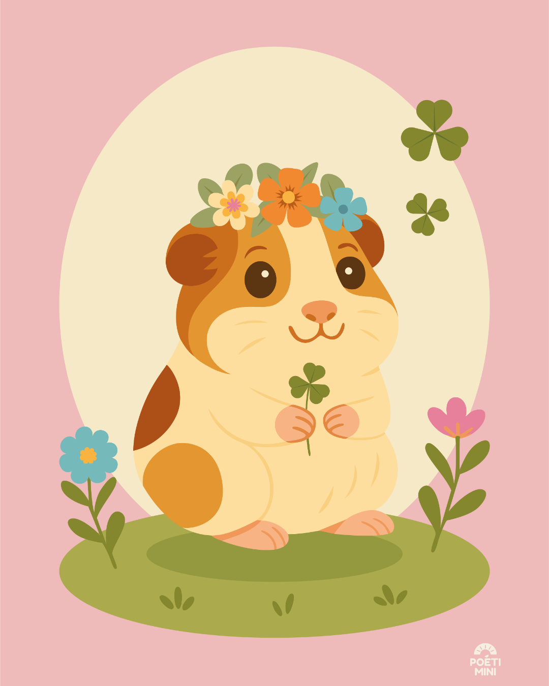 NOUGAT das Meerschweinchen 📥