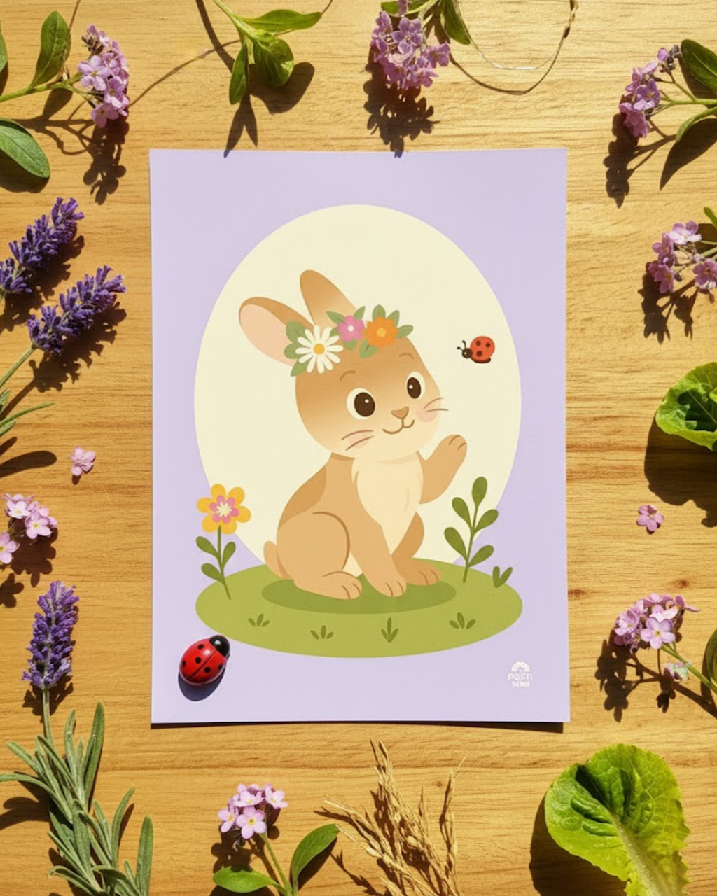 BISCOTTE the rabbit 🖼️